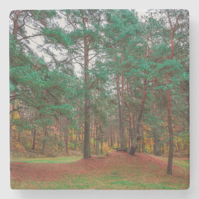 Autumn forest stone coaster (Front)