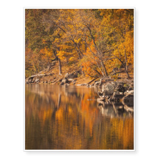 Autumn Forest Temporary Tattoos