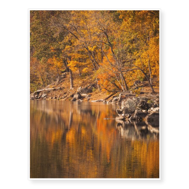 Autumn Forest Temporary Tattoos (Front)