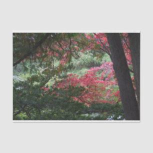 Autumn Forest Tissue Paper