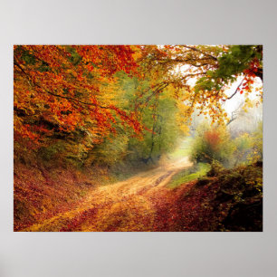 Autumn Forest Track Poster