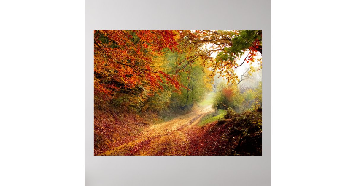 Autumn Forest Track Poster | Zazzle