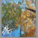 Autumn Forest Trees Scenic Nature Shower Curtain