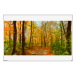 Autumn Forest Wall Mural Decal