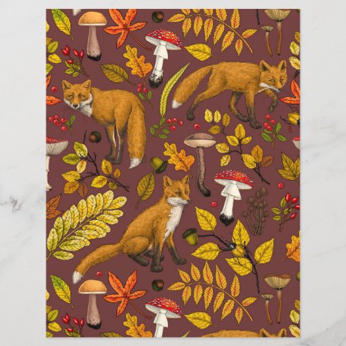Autumn foxes on chocolate brown
