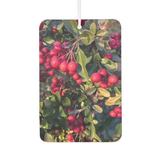 Autumn fruit air freshener (Front)