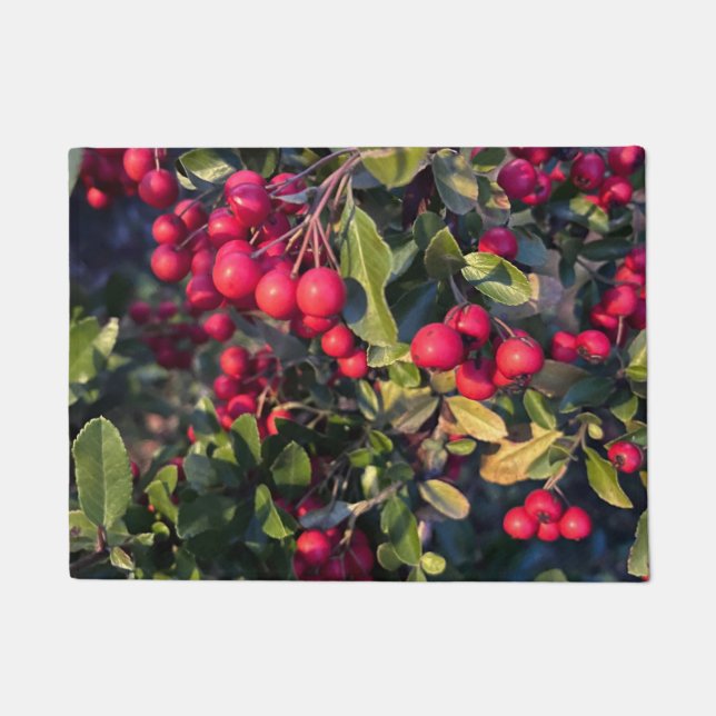 Autumn fruit doormat (Front)