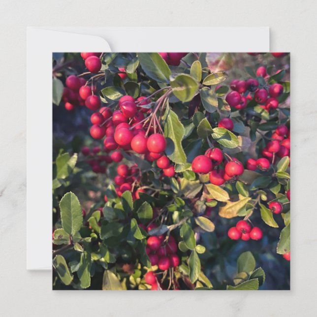 Autumn fruit invitation (Front)