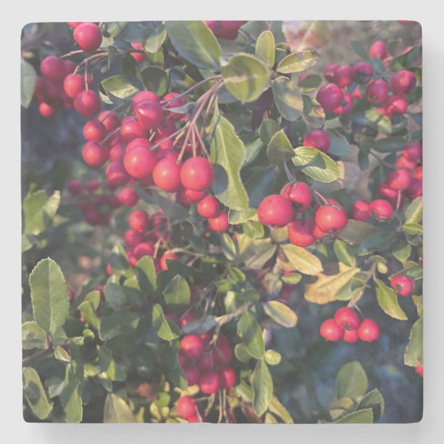 Autumn fruit stone coaster (Front)