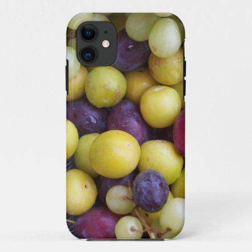 Autumn Fruits Photograph Plums Grapes Greengages iPhone 11 Case