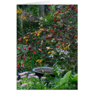 Autumn Garden Cards
