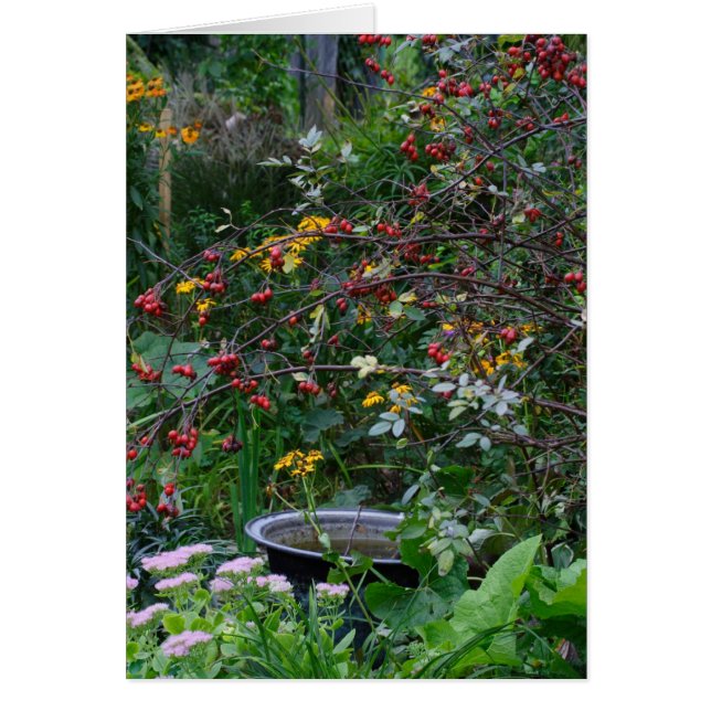 Autumn Garden Cards (Front)