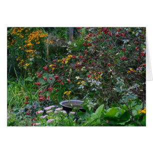 Autumn Garden Cards