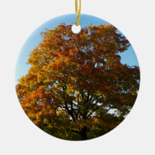 Autumn Garden, St.Petersburg Russia Ornament