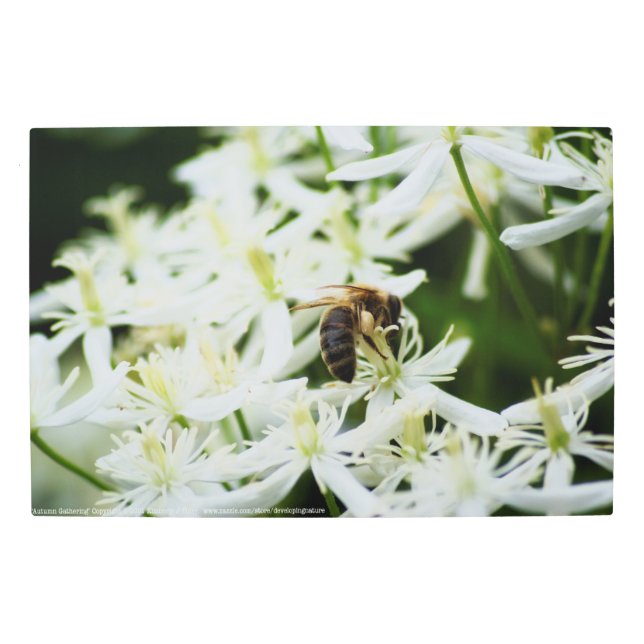 Autumn Gathering Metal Print (Front)