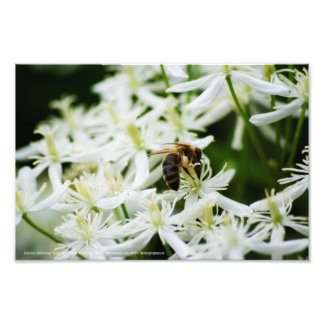 Autumn Gathering Photo Print