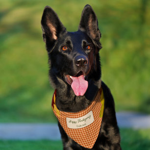 Autumn Gingham Thanksgiving Pet Bandana Collar