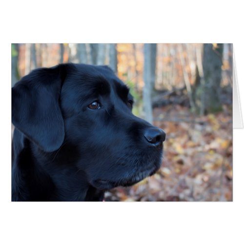 Autumn Glow _ Black Lab