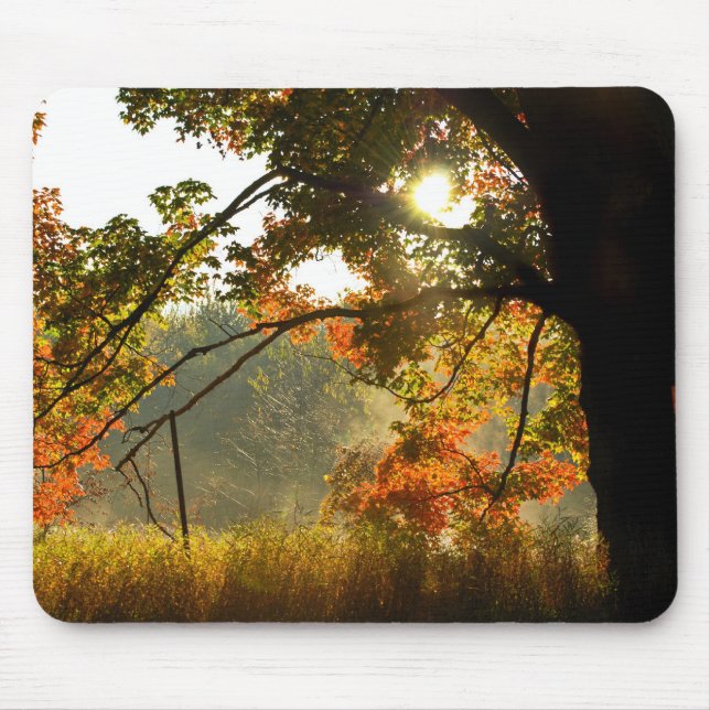 Autumn Glow Mouse Pad (Front)