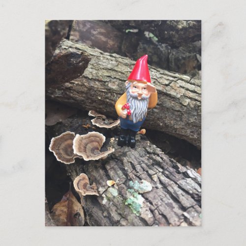 Autumn Gnome Postcard