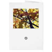 Autumn Gold Leaves (Back)