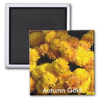 Autumn Gold Magnet by Dmargie1029 at Zazzle
