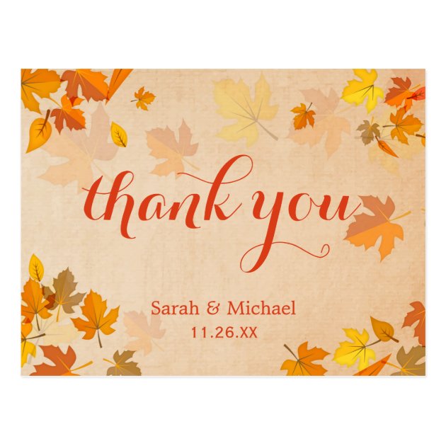 Autumn Gold Maple Leaves Thank You Postcard