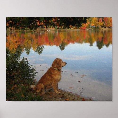 Autumn Gold Nature with Golden Retriever Dog Poster