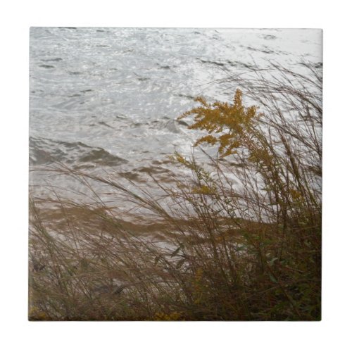 Autumn Golden Rod against cool gray Lake Arrowhead Ceramic Tile