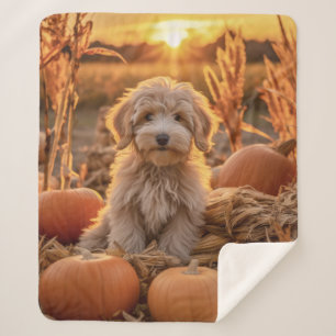 Autumn Goldendoodle Puppy – Sweet & Cozy Sherpa Blanket
