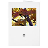 Autumn Golds Cards (Back)