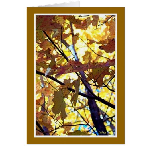 Autumn Golds Cards (Front)