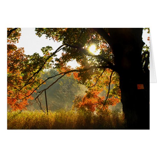 Autumn Good Morning Cards (Front Horizontal)