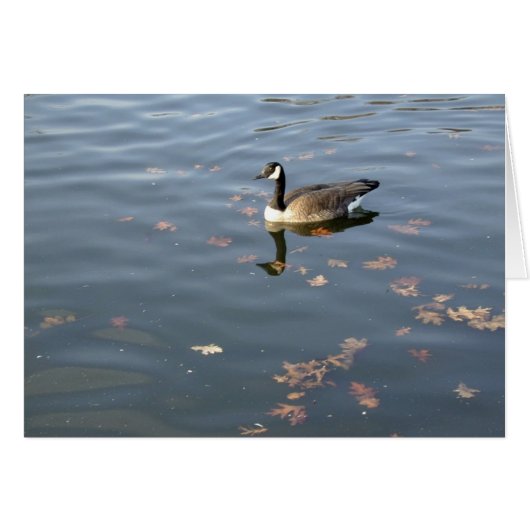 Autumn Goose card (Front Horizontal)