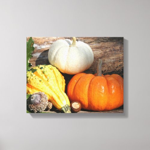 Autumn Gourds Fall Decorative Art Canvas