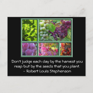 Autumn Grape Harvest Collage with Quote. Postcard