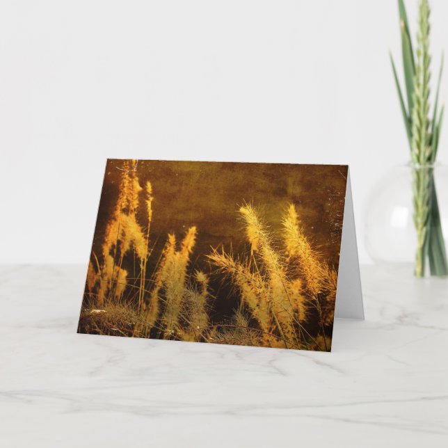 Autumn Grasses Card (Front)