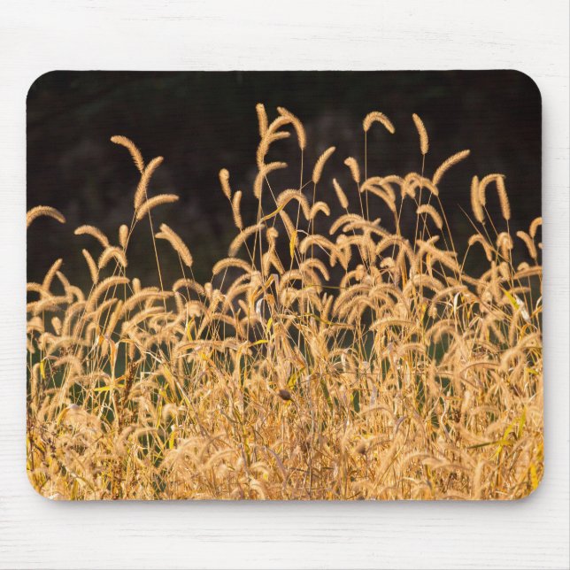 Autumn Grasses Mouse Pad (Front)