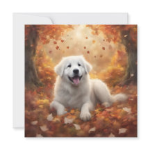 Autumn - Great Pyrenees Happy Puppy