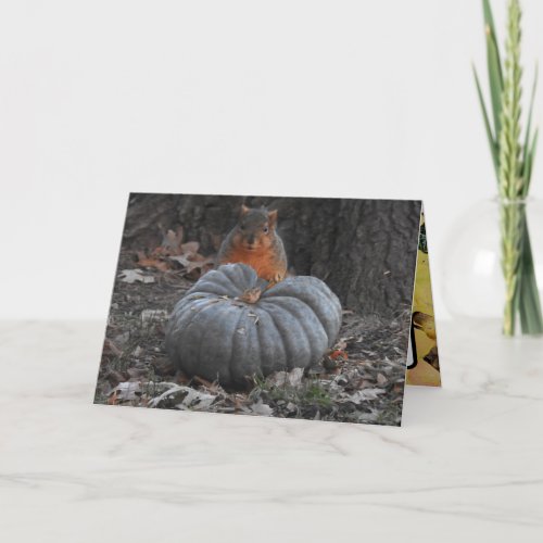 Autumn Greetings  Funny Squirrel Eating Pumpkin Card