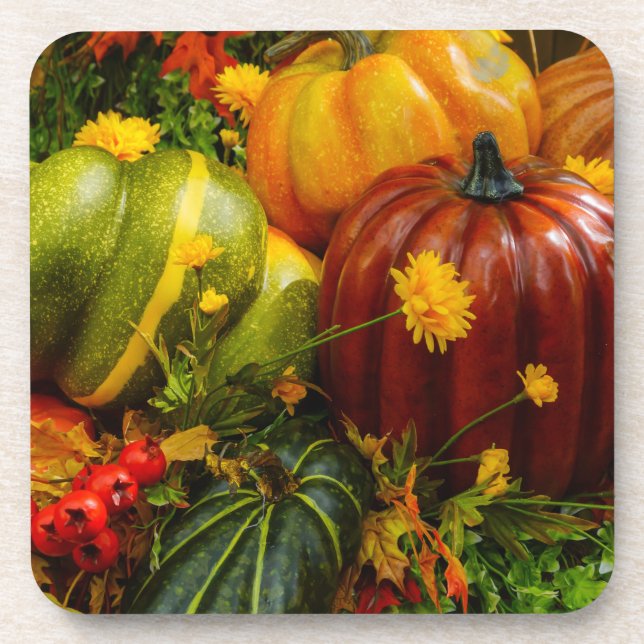 Autumn Grouping Drink Coaster (Front)