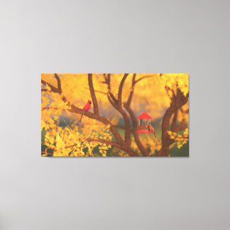 Autumn Guardian Canvas Print