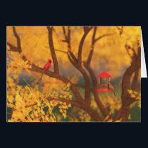 Autumn Guardian Card