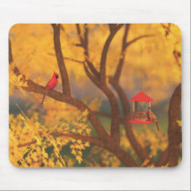 Autumn Guardian Mousepad