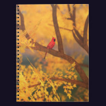 Autumn Guardian Notebook