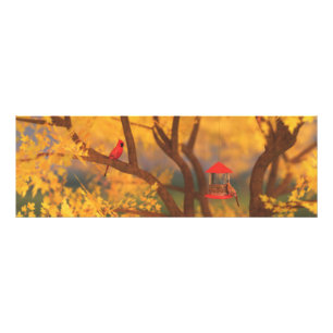 Autumn Guardian Photo Print