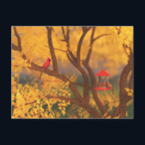 Autumn Guardian Postcard