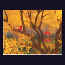 Autumn Guardian Postcard