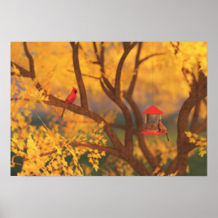 Autumn Guardian Print