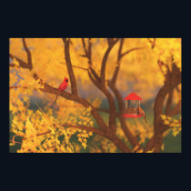 Autumn Guardian Print